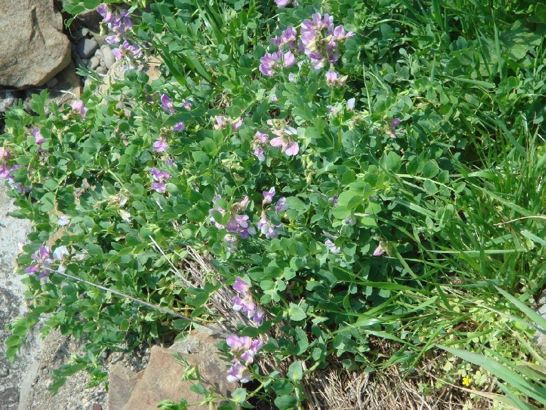 c0108460_1711352.jpg