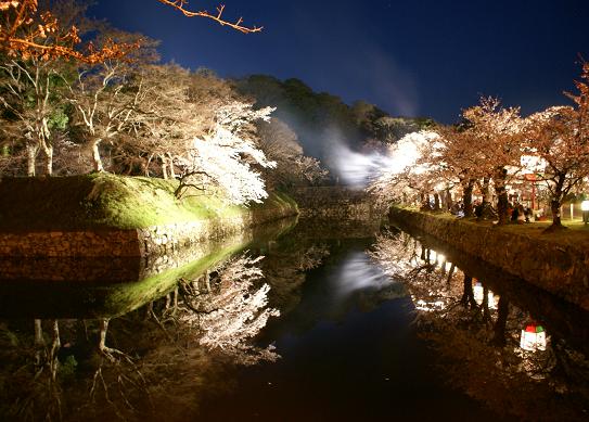 彦根城の桜のライトアップ_f0102363_0513154.jpg