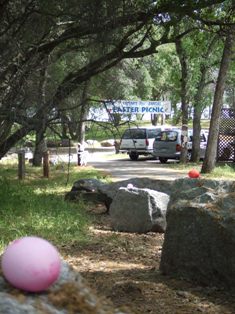 b0069365_284453.jpg