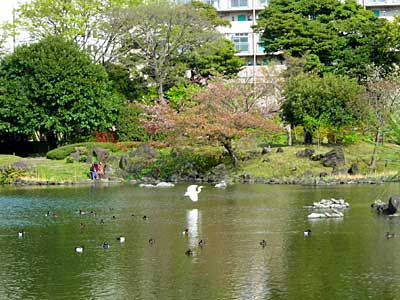 旧芝離宮公園とちょっとだけ銀座へ_e0097770_20262969.jpg