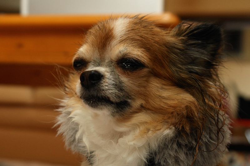 a0016775_23104880.jpg
