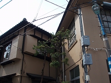 c0105785_18503980.jpg