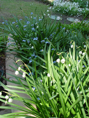 e0008586_2391749.jpg