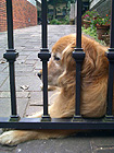 f0024090_2362963.jpg