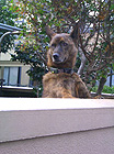 f0024090_2364189.jpg