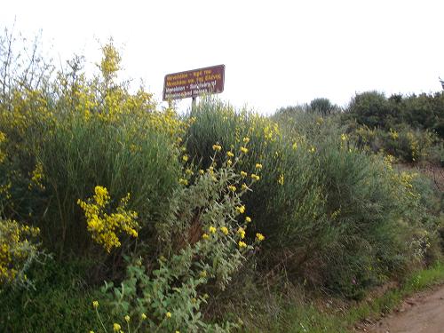 c0010496_153823.jpg
