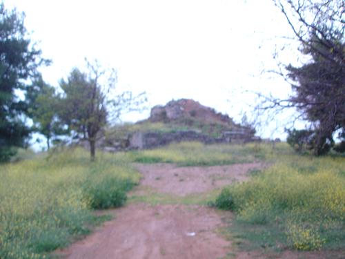 c0010496_15384783.jpg