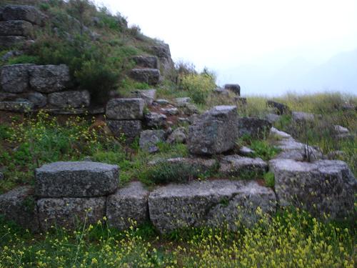 c0010496_15392975.jpg
