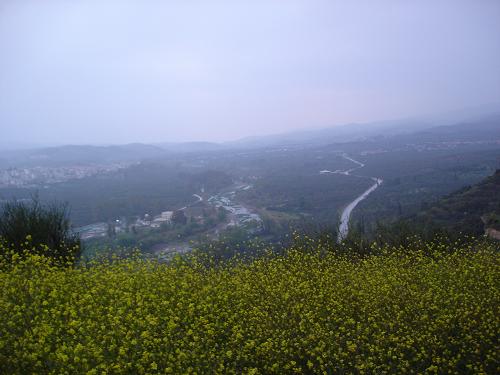 c0010496_15395164.jpg