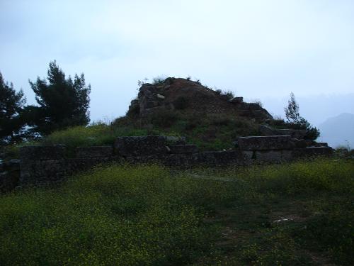c0010496_1539964.jpg