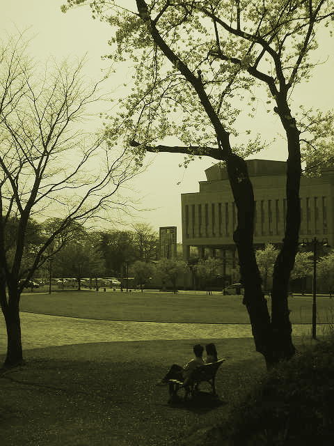 桜のある風景_b0051601_1145952.jpg