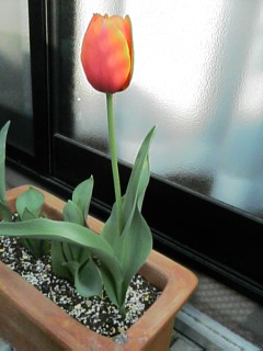 f0051101_11204835.jpg