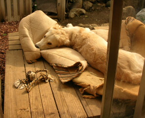 f0109202_0191584.jpg