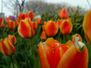 e0102806_21034100.jpg