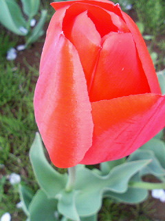 e0102806_2135397.jpg