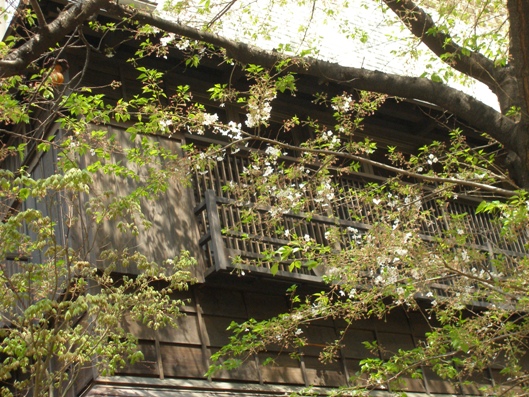 e0083212_15573855.jpg