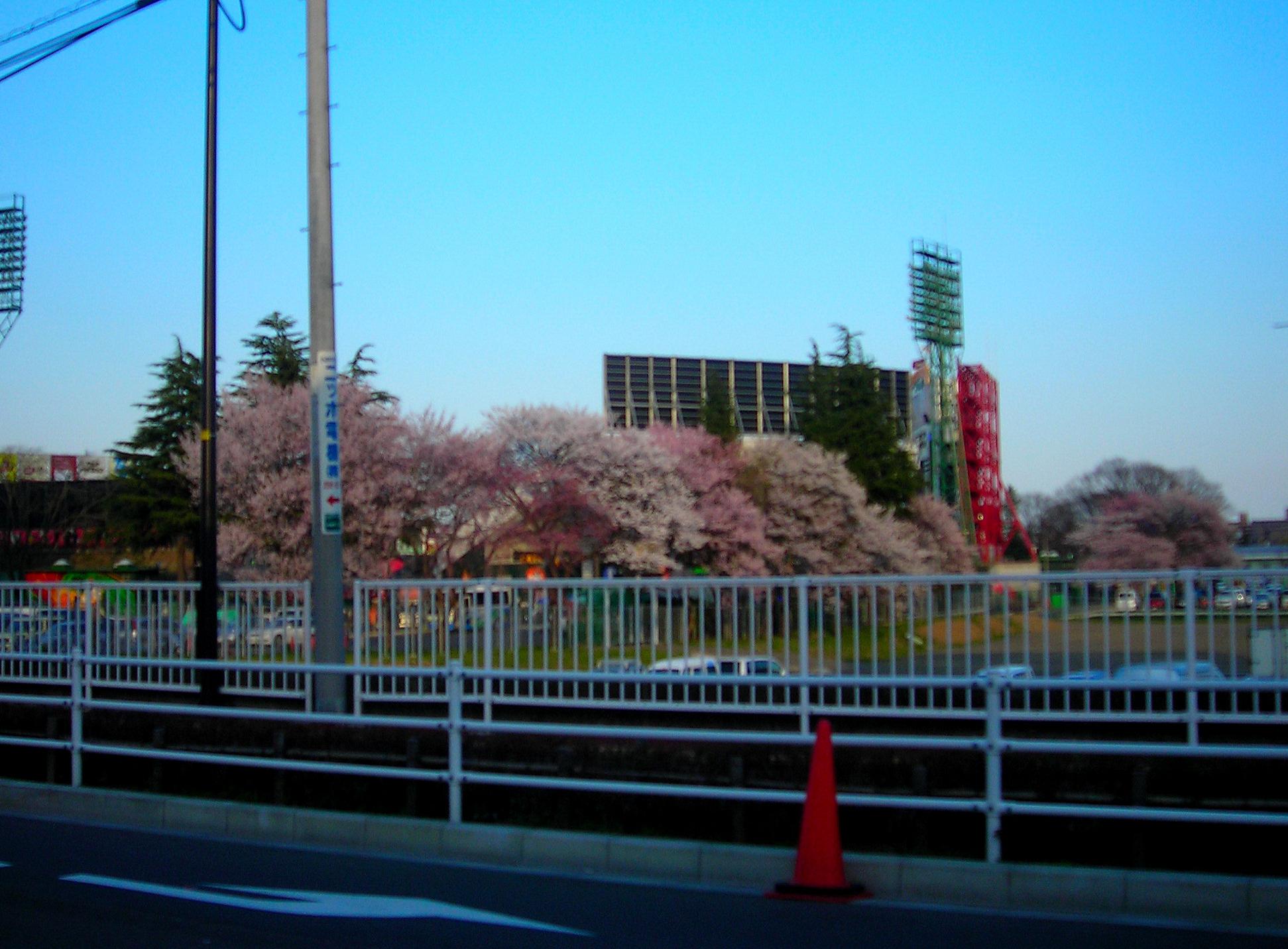 野球、サッカー、選挙_a0030217_21332019.jpg