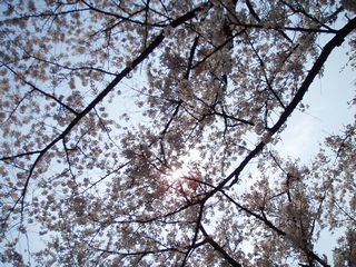 a0027720_214890.jpg