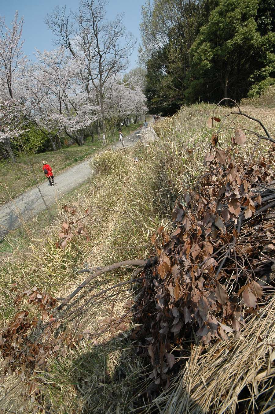 b0069128_23371534.jpg