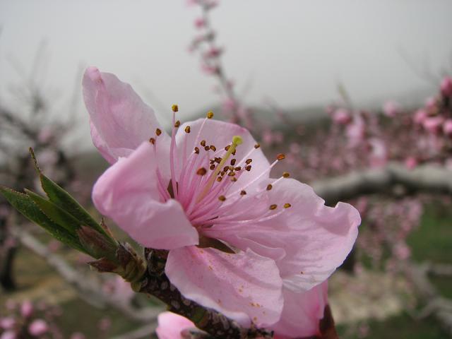 f0099535_8145085.jpg