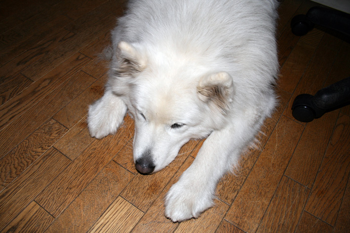 c0035838_22671.jpg