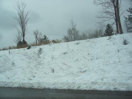 f0041447_1592393.jpg
