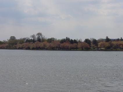 f0041447_3131167.jpg