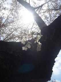 f0041447_3152913.jpg