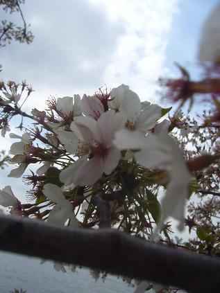 f0041447_3154996.jpg
