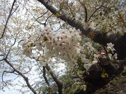 f0041447_315661.jpg