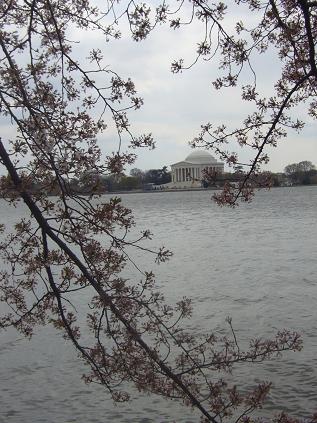 f0041447_318168.jpg