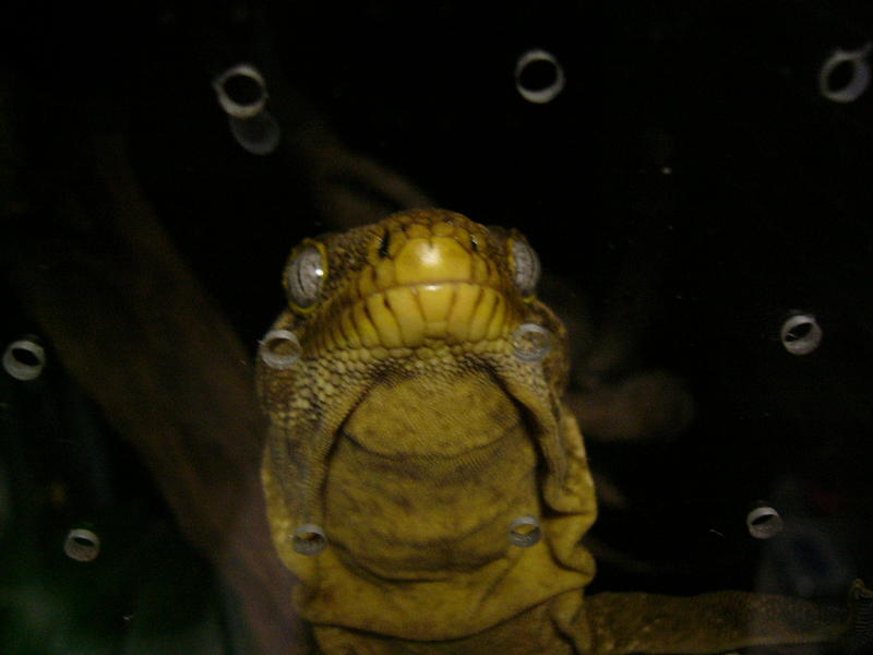 f0096947_1155421.jpg