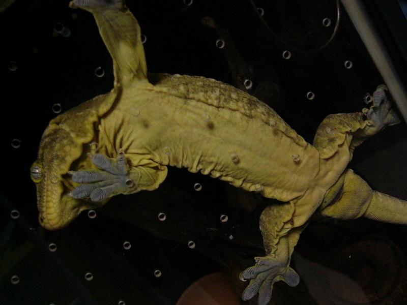 f0096947_1163626.jpg