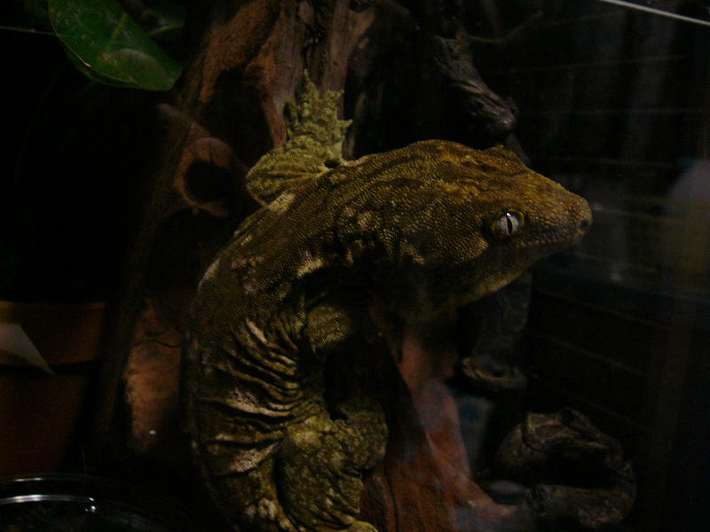 f0096947_1191853.jpg