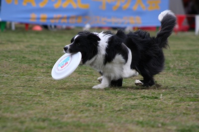 JFA in　播磨　二日間_e0111449_1023814.jpg