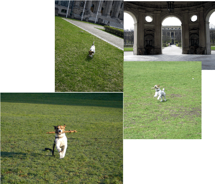 f0077150_363653.gif