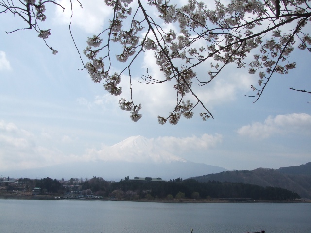 b0070657_16254179.jpg