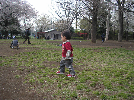 公園でボール遊び_d0084758_2359578.jpg