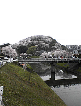 三室山でお花見_c0051759_8282386.jpg