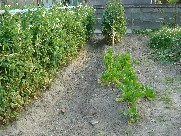 c0108460_18103740.jpg