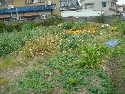c0108460_19323066.jpg