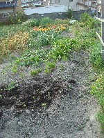 c0108460_19332348.jpg