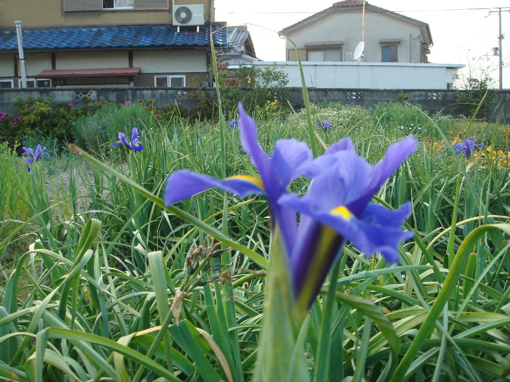 c0108460_19345080.jpg