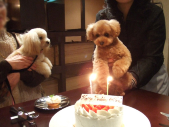 Happy Birthday 神楽♡_f0127682_111646.jpg