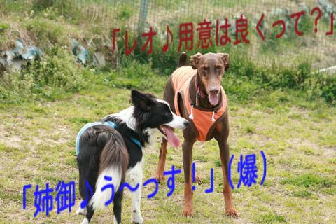 e0100007_10401767.jpg