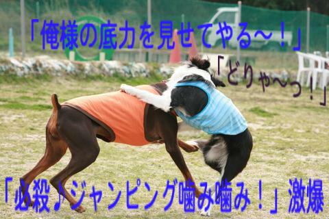 e0100007_10475948.jpg