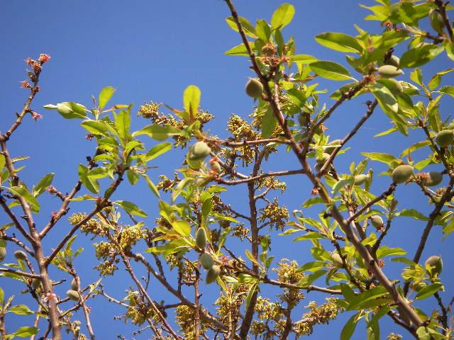 f0038407_1105541.jpg