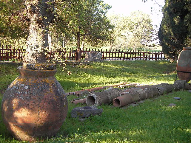 f0038407_113156.jpg