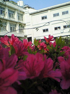 d0065116_2131213.jpg