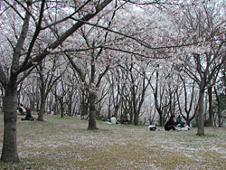 f0086618_13395572.jpg